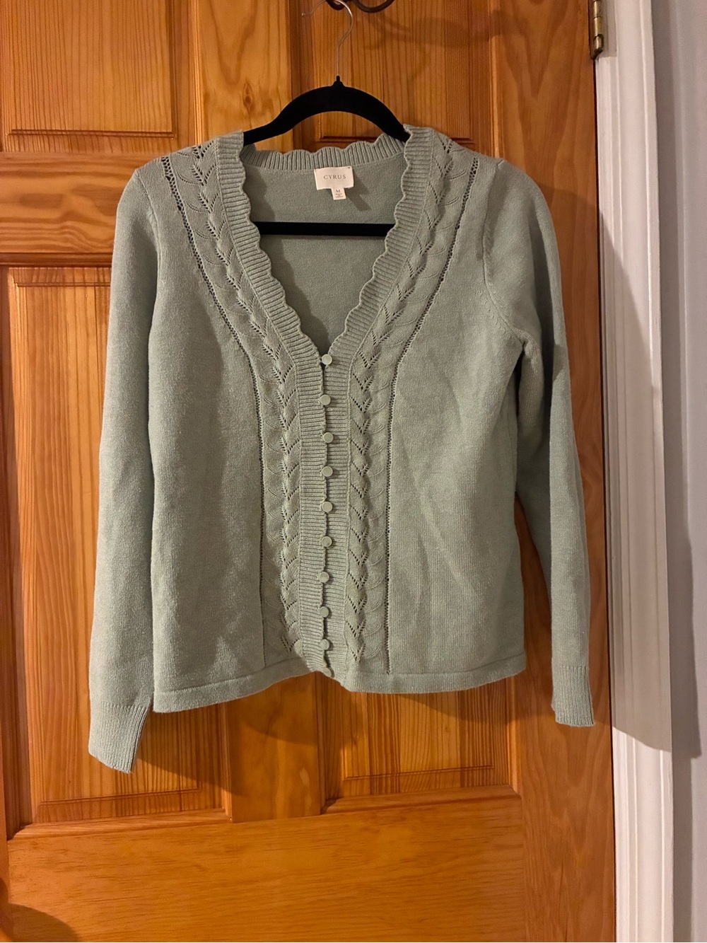 Cyrus Scalloped-Trim Mint Cardigan Sweater